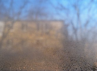 Condensation Secrets: Is Your Roof or Your Windows to Blame?
