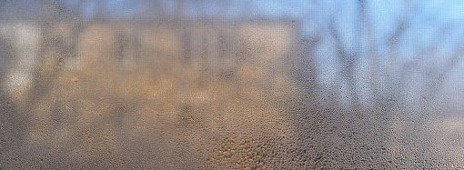 Condensation Secrets: Is Your Roof or Your Windows to Blame?
